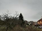 Olešná