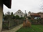 Třibřichy