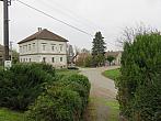 Třibřichy