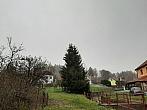 Olešná