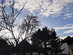 Olešná