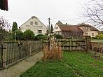 Třibřichy