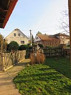 Třibřichy