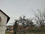 Olešná