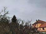 Olešná