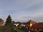 Olešná