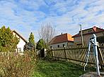 Třibřichy