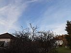 Olešná