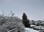 Olešná