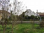 Třibřichy