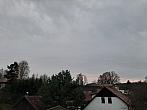 Olešná