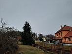 Olešná