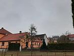 Olešná