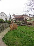 Třibřichy