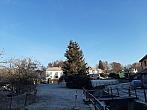 Olešná