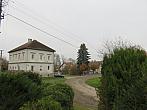 Třibřichy