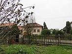 Třibřichy
