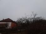Olešná