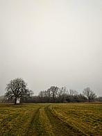 Pacov