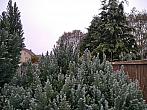 Třebíč-Týn