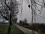 Třebíč-Borovina
