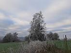 Olešná