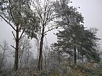 Třebíč-Borovina