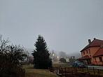Olešná