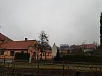 Olešná