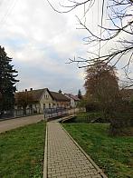Třibřichy