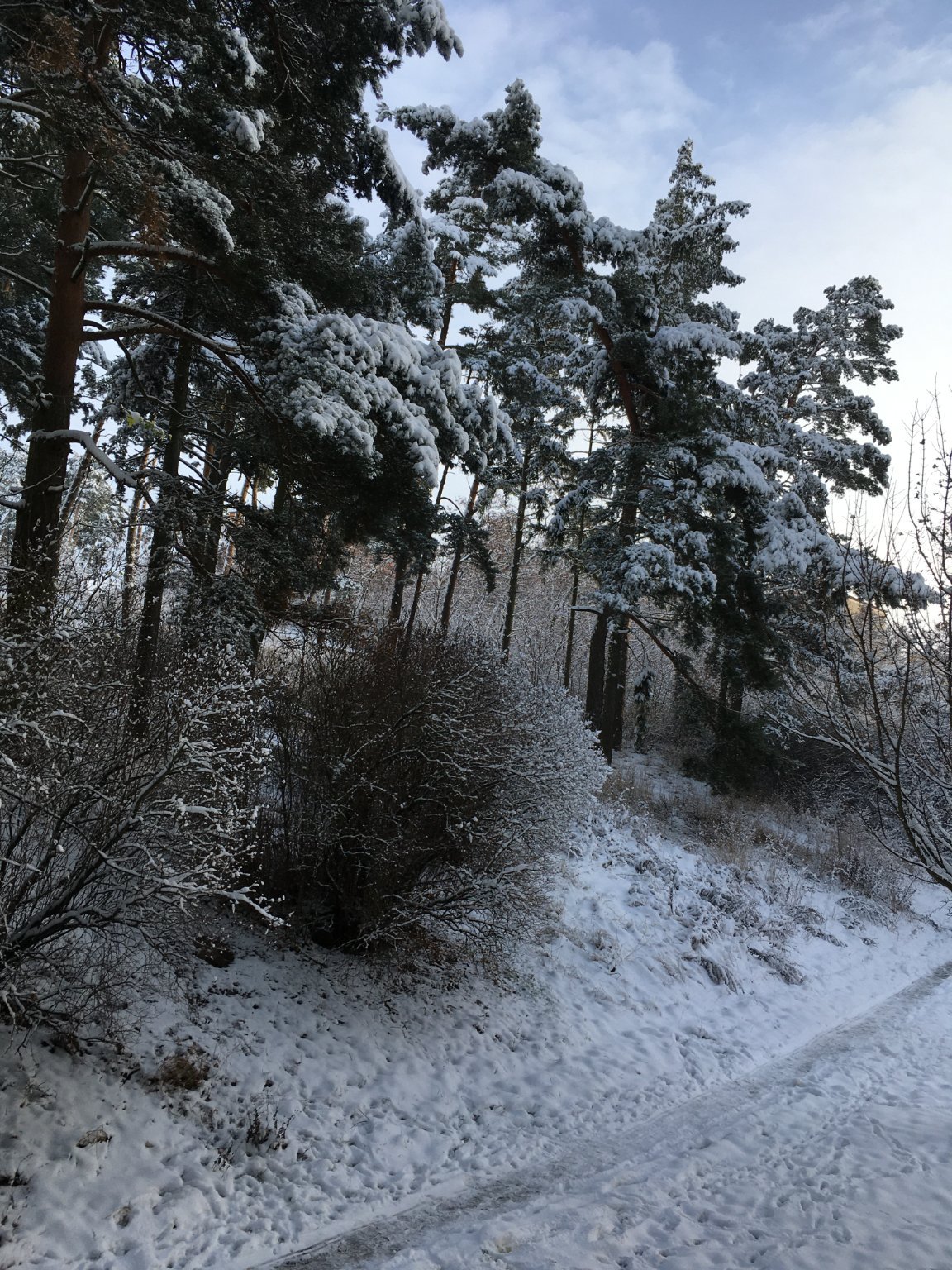 Třebíč