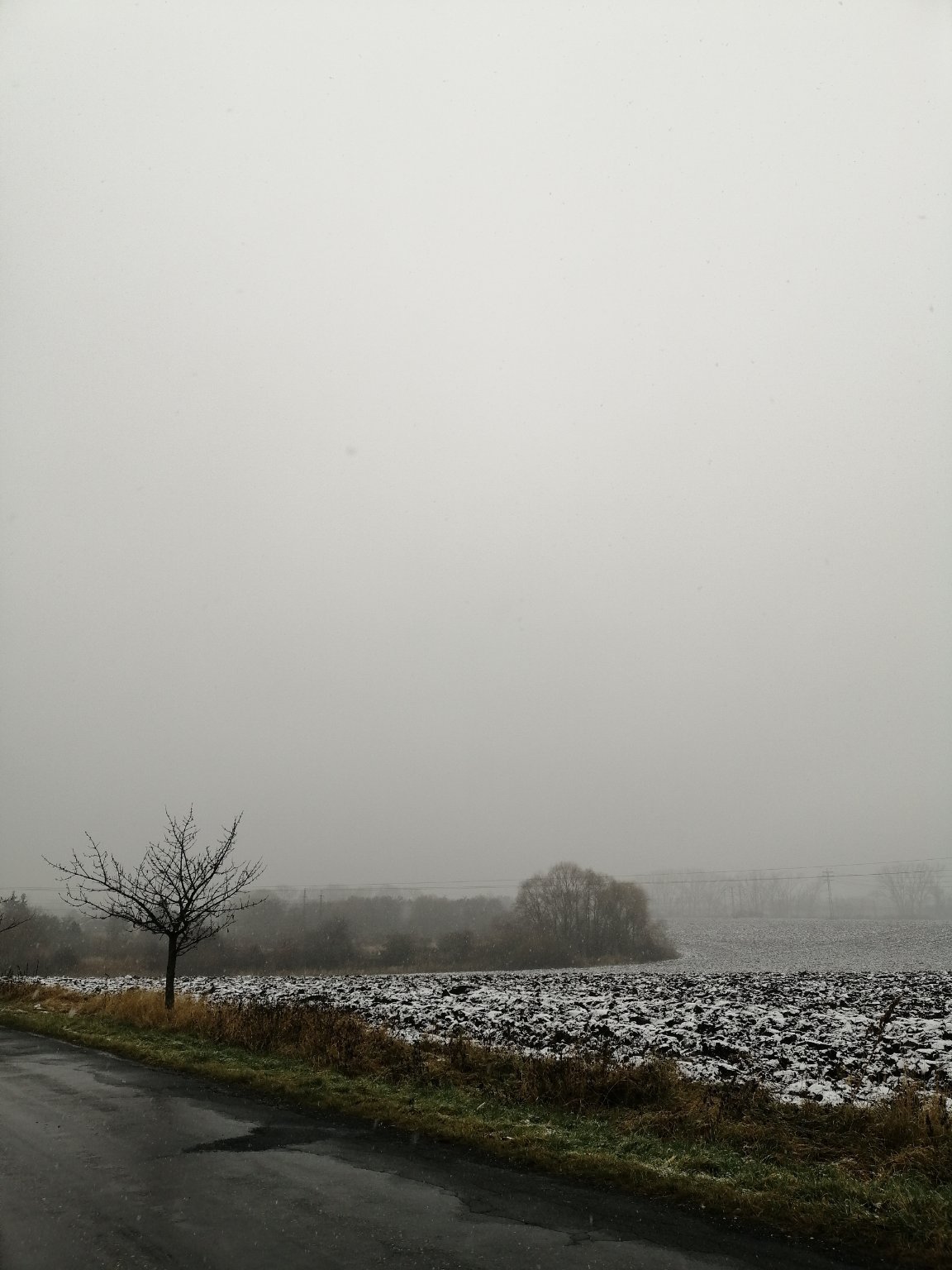 Český Brod