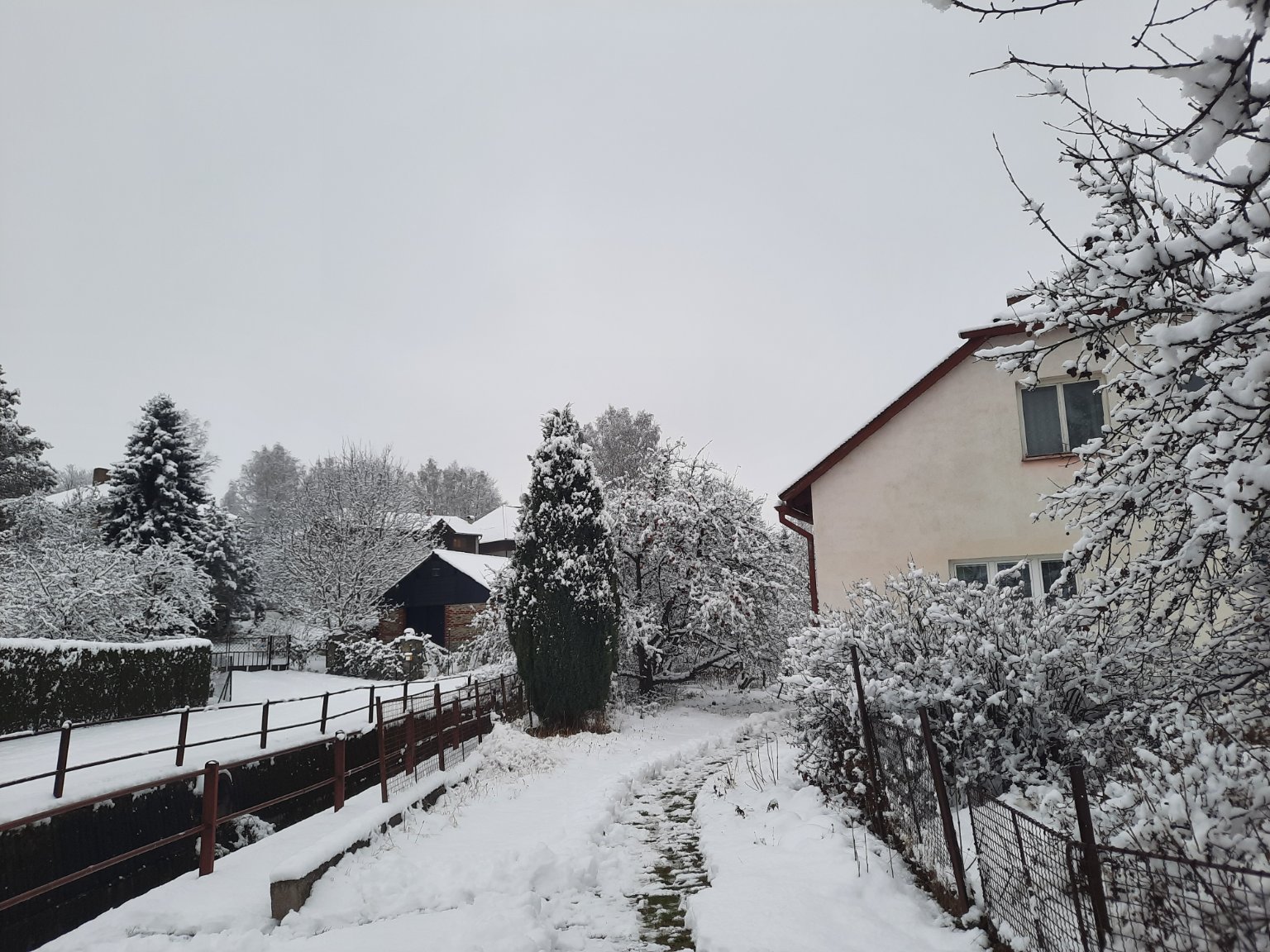 Olešná