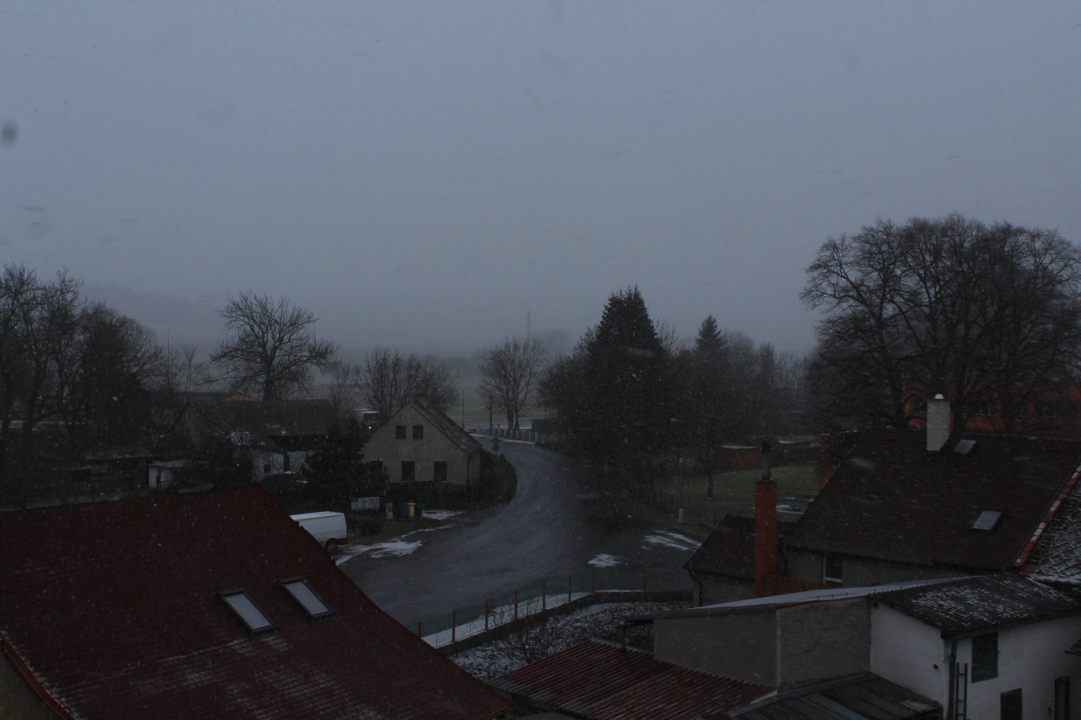 Radonice