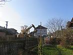 Třibřichy