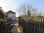 Třibřichy