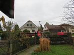 Třibřichy
