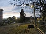 Třibřichy