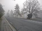 Třebíč-Borovina