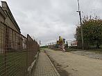 Třibřichy