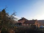 Olešná