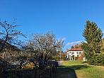 Olešná