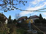 Třibřichy