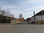 Třibřichy