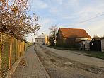 Třibřichy