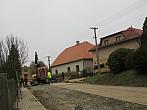 Třibřichy