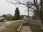 Třibřichy