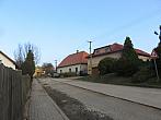 Třibřichy