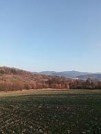 Hvozdnica