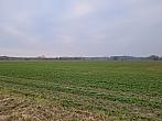 Císařov